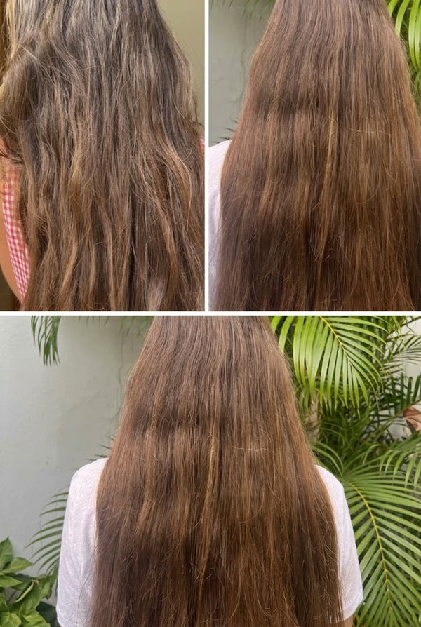 Daniela | Valencia